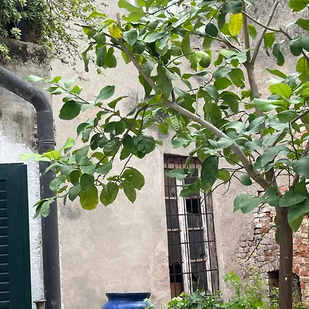 Bottesini